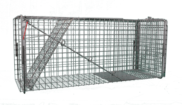 Cage Traps Part 1