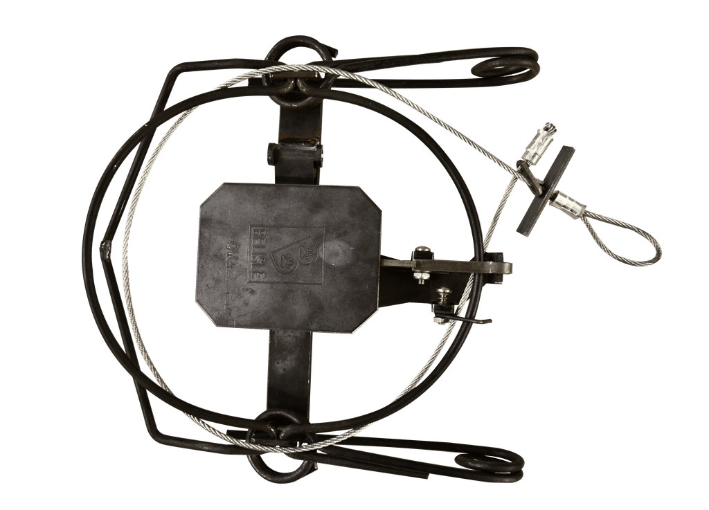 Belisle Foot Snare Trap 8 – WCS Canada store