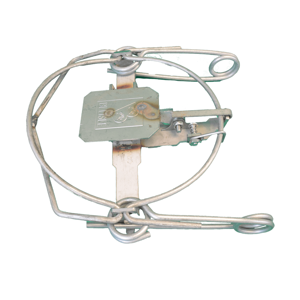 Belisle Foot Snare Trap 6 (Stainless Steel) – WCS Canada store