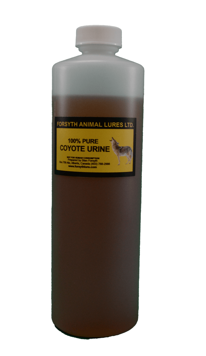Forsyth Animal Lures LTD Coyote Urine 16oz