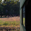 Texas Hunter Products Trophy Blinds