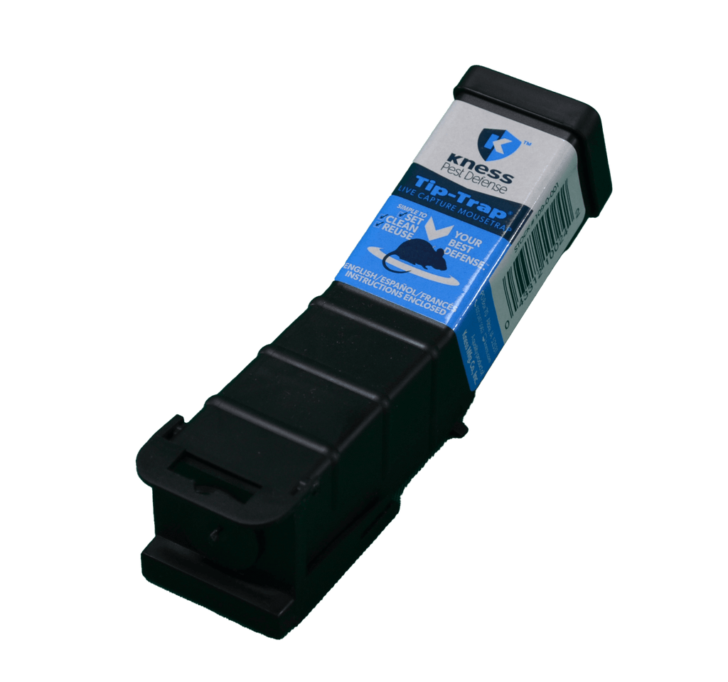 Live catch mouse online trap