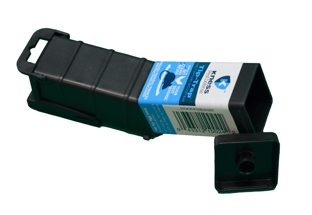 Kness mouse traps where to deals buy