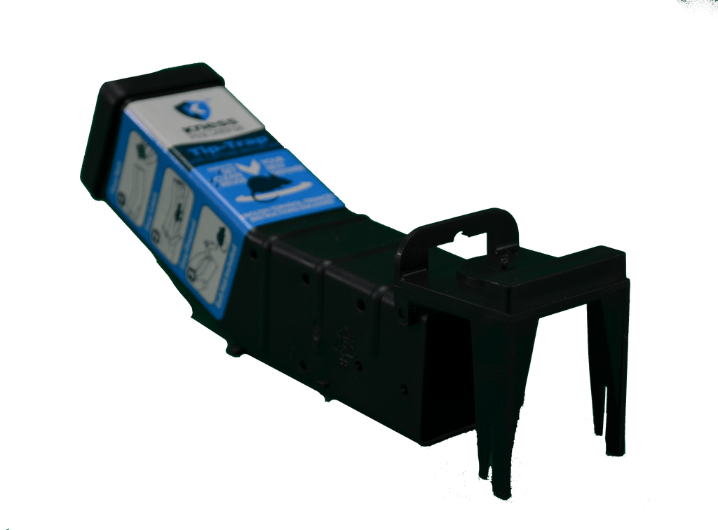 Kness mouse traps where to deals buy