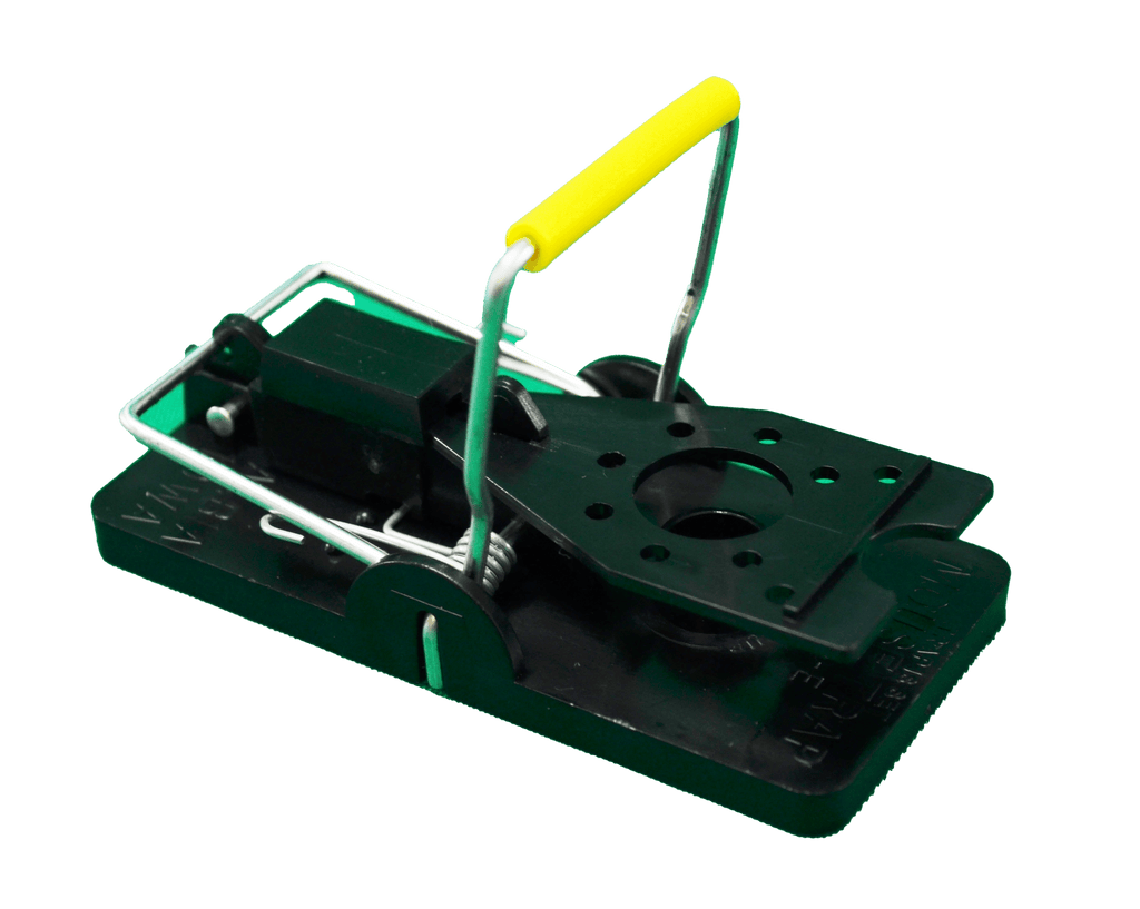 Mouse snap traps deals