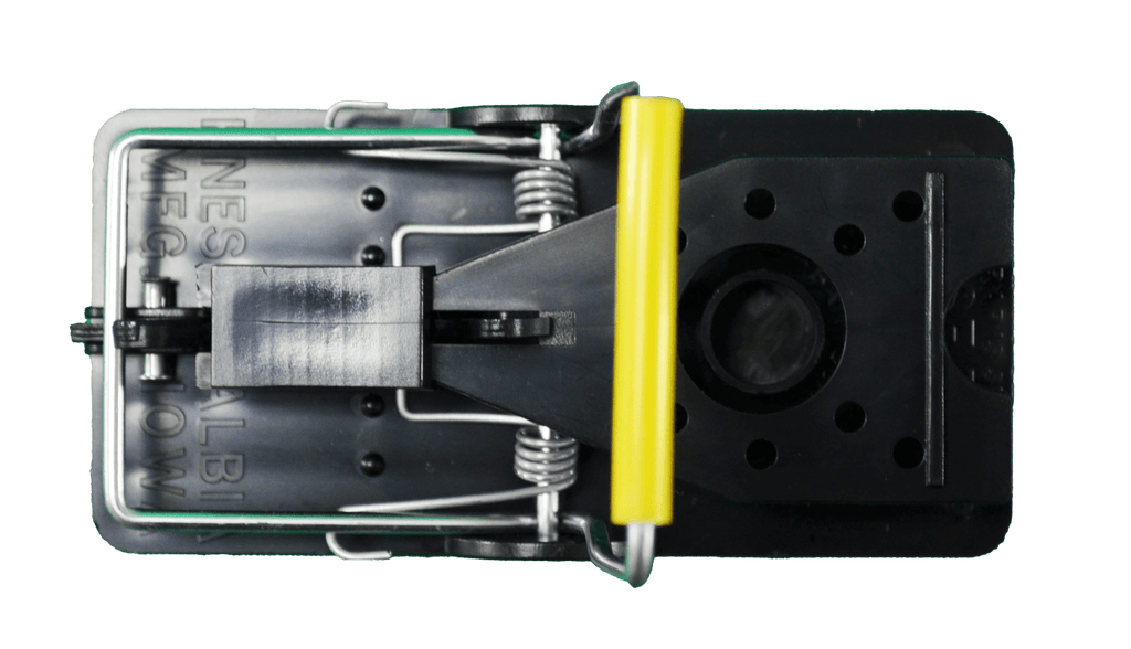 Kness mouse traps where to deals buy