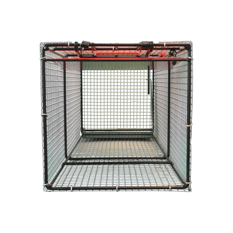 AAC Proline Raccoon Cage Trap
