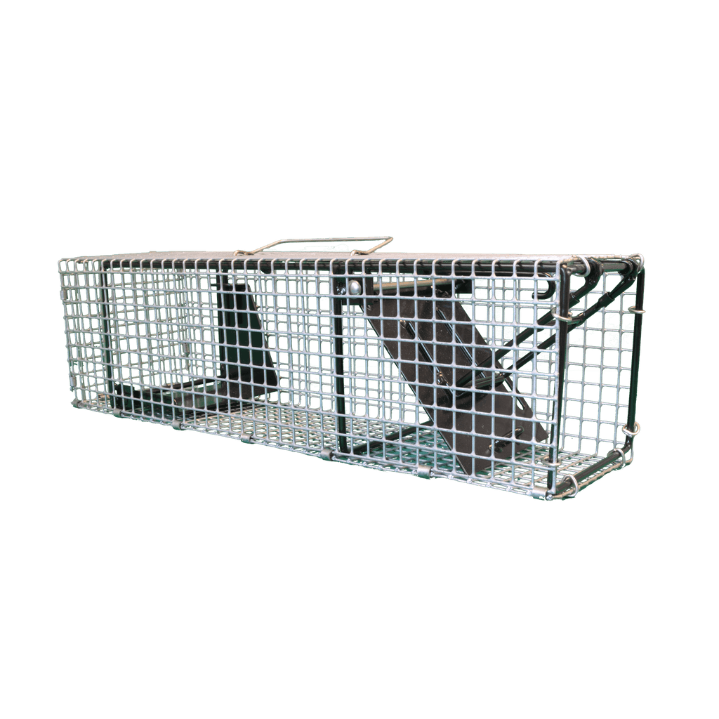 Cage Traps Part 1 – WCS Canada store