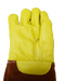 Vet Pro Warden Pro Max 22" Gloves 