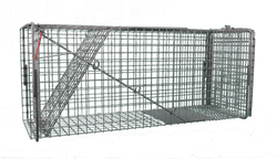 Cage Traps Part 1