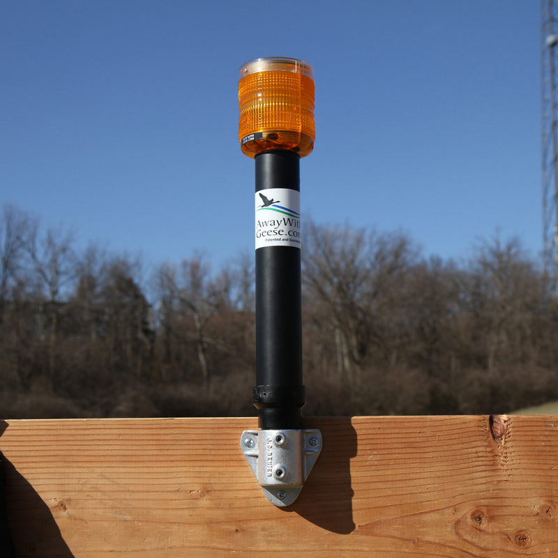 Away With Geese - Dock Unit