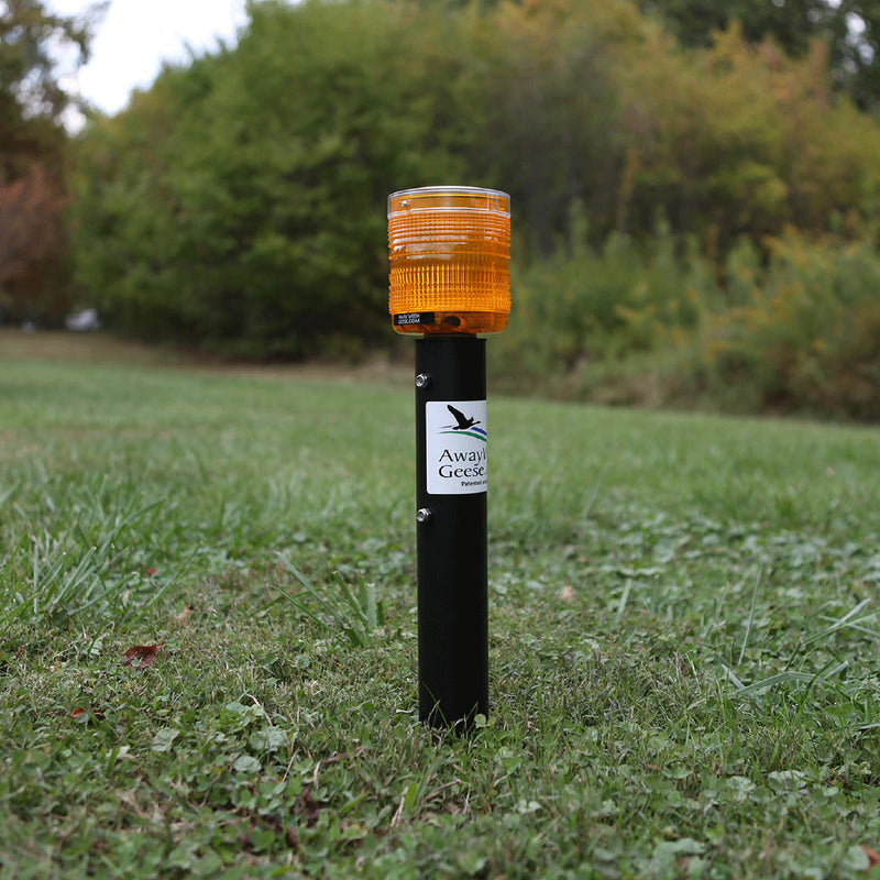 Away With Geese - Industrial Unit