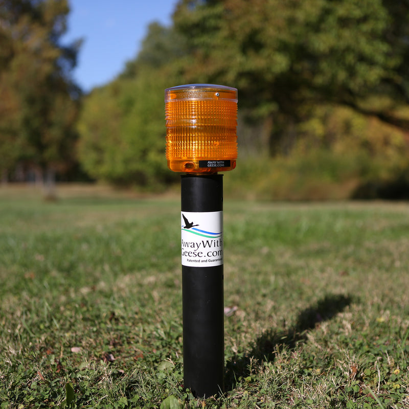 Away With Geese - Residential Unit