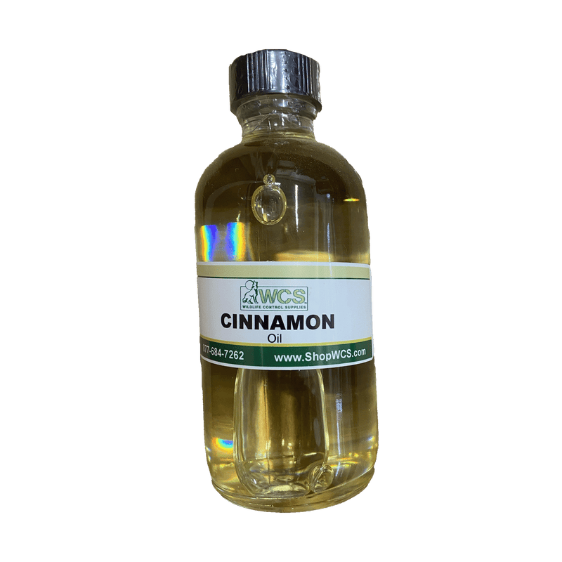 Cinnamon Oil