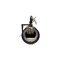 Rudy bear trap for bears