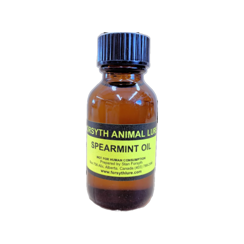 Forsyth - Spearmint Oil