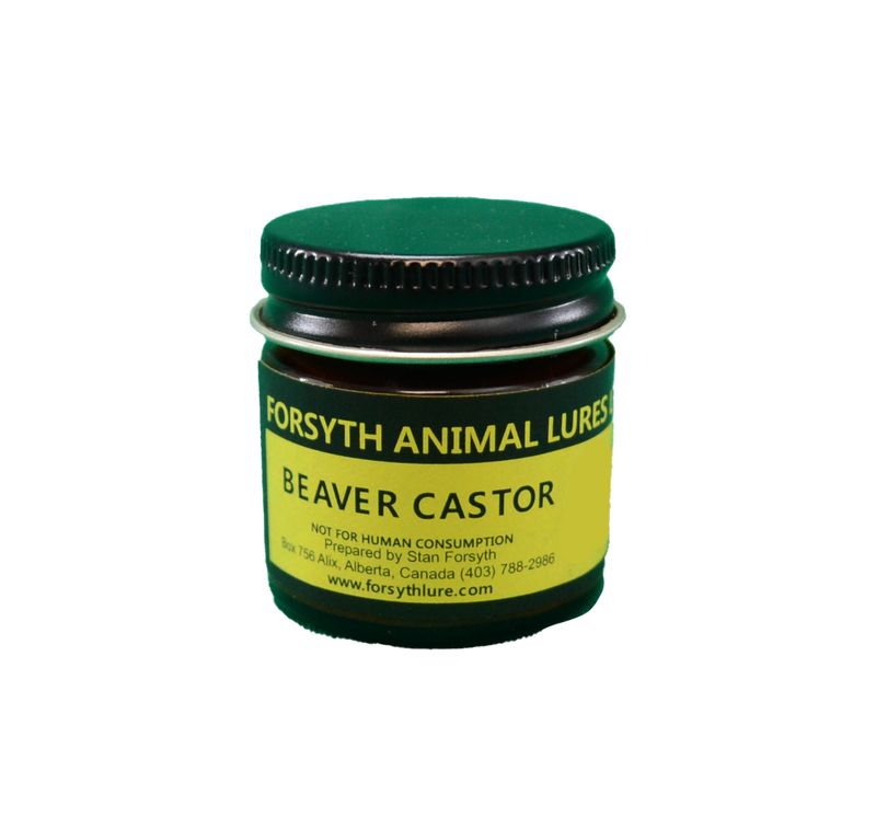 Beaver Castor Ground by Forsyths Animal Lures LTD