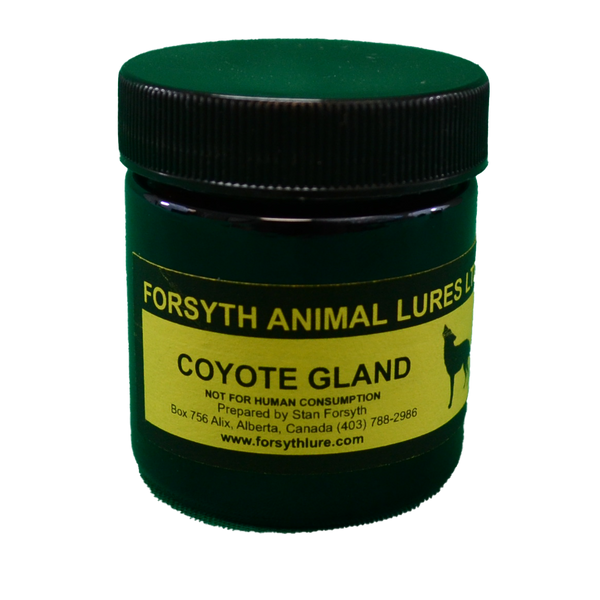 Coyote Gland – WCS Canada store