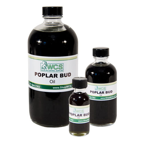 Poplar Bud Oil
