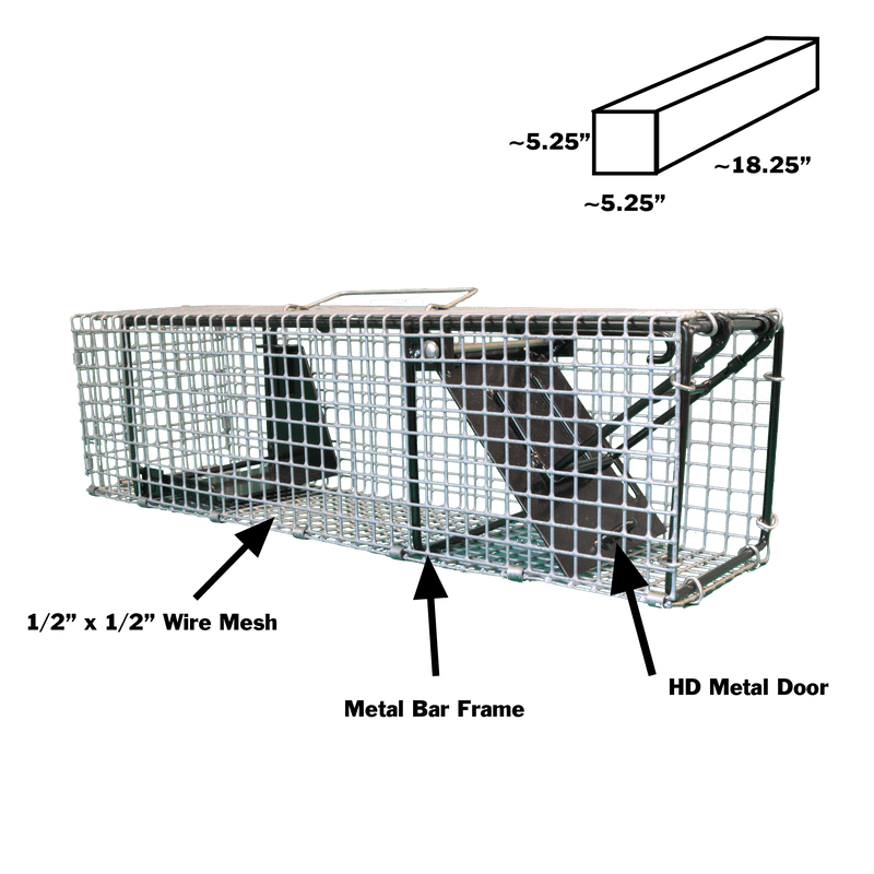 AAC Squirrel Trap - info picture 