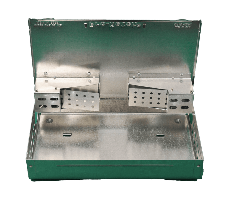 Kness mouse traps where to buy deals